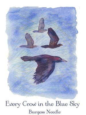 cover image of Every Crow in a Blue Sky